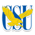莱德大学